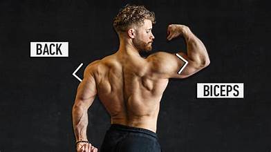 Back and Bicep Workout